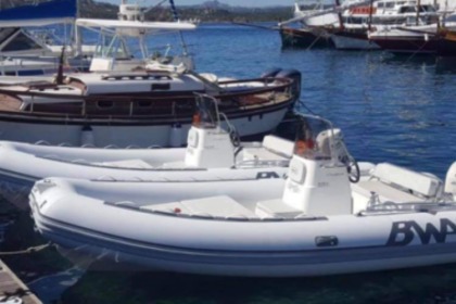 Noleggio Barca senza patente  Bwa Bwa 550 40 hp Suzuky La Maddalena