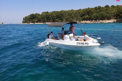 Rental Motorboat Blueline 19 Poreč