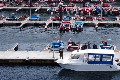 Rental Motorboat Graünner 799 Vilagarcía de Arousa