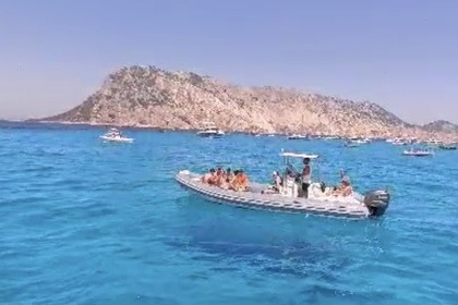 Noleggio Gommone Nuova Jolly King 750 Rs Olbia