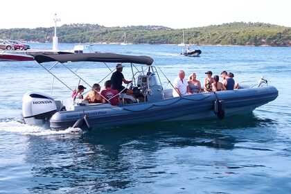 Charter RIB Marlin 850 HD PRO Šibenik