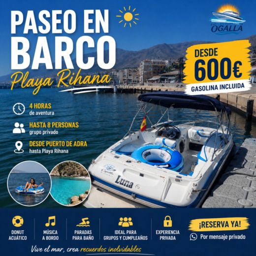 Motorboat Maxum 2000 Sr3 Plattegrond van de boot