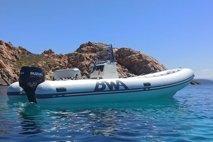 Alquiler Barco sin licencia  Bwa 550 Olbia