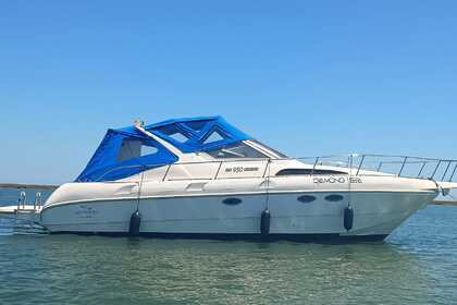 Aluguel Lancha Rio Yachts 950 Cruiser Faro