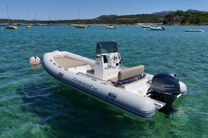 Charter RIB Capelli Capelli Tempest 530 Palau