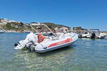 Noleggio Gommone Sacs Marine S500 Ponza