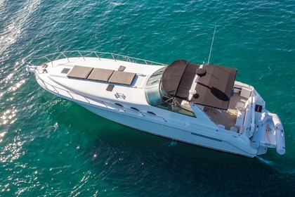 Charter Motor yacht Sea Ray Sundance 500 Playa Panama