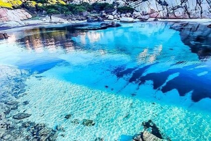 Aluguel Semi Rígido Original Marine Original 580 La Maddalena