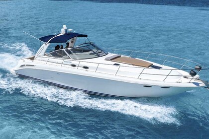 Location Bateau à moteur Sea Ray Sundancer 41 Cancún