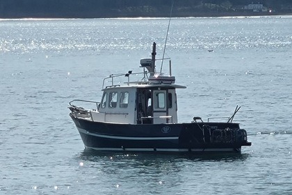 Charter Motorboat Rhea Marine Thimonier 750 Plestin-les-Grèves