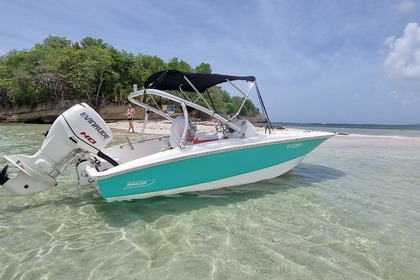 Charter Motorboat Boston Whaler 150 Super Sport Le François