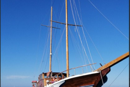 Noleggio Caicco SABAN SAG JAHTA Termoli