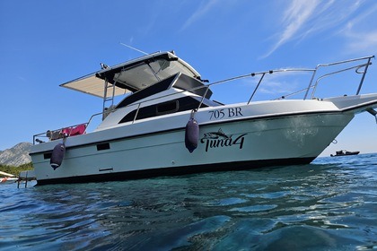 Hire Motorboat King Fisher 750 Bar