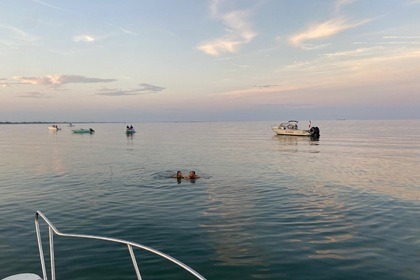 Location Bateau à moteur Boston Whaler Revenge 25 Venise