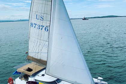 Rental Catamaran Fountaine Pajot Tobago 35 Cartagena