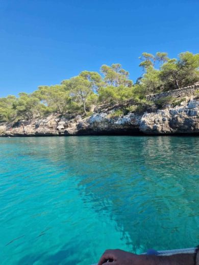 Cala d’Or RIB VD PRO VD PRO alt tag text