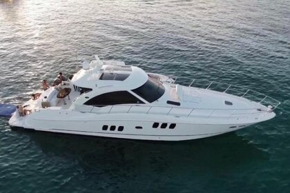 Hire Motor yacht Sea Ray Sun Dancer Fajardo