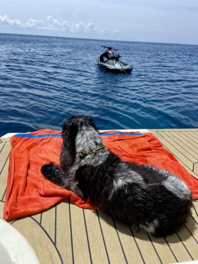 Altea Motorboat Cranchi Mediterranee 47HT alt tag text