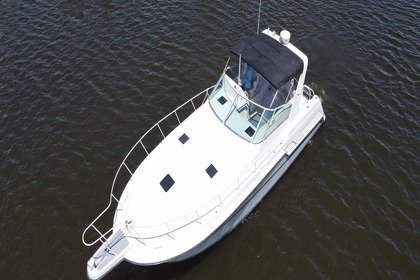 Hire Motorboat Bertram 420 Mazatlán