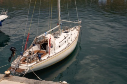 Verhuur Zeilboot Alpa 11,50 Acciaroli