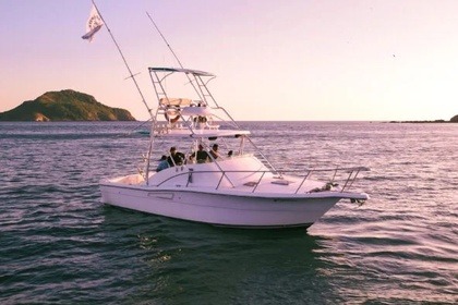 Alquiler Lancha Luhrs 34 Sport Mazatlán