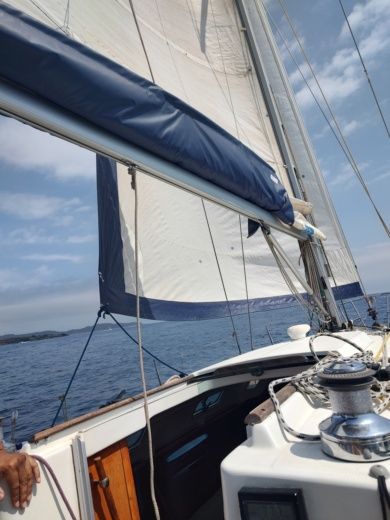 Roses Sailboat Llaüt Conquistador 36 alt tag text