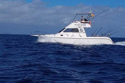 Charter Motorboat Cata 356 Puerto Rico de Gran Canaria