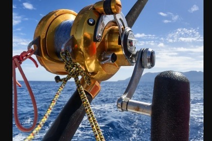 Alquiler Lancha Astinor 8,40 Tazacorte