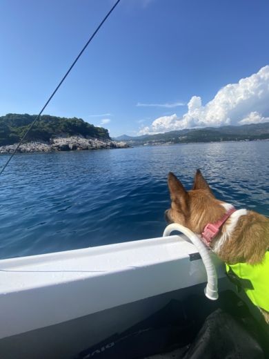 Dubrovnik Without license Traditional boat Pasara alt tag text