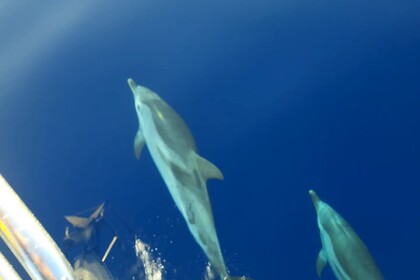 Alquiler Velero Bavaria 46 Unidad periférica de Heraclión