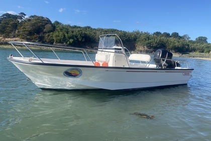 Charter Motorboat Boston-whaler Montauk 190 Saint-Malo