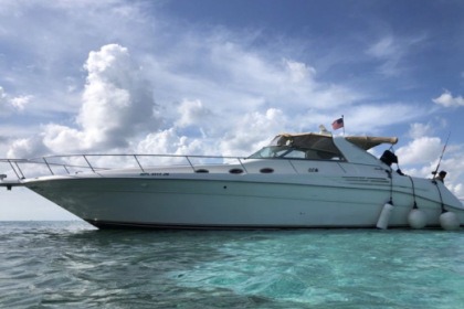 Rental Motorboat Sea Ray Sundancer 14m Tulum