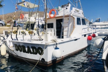 Charter Motorboat None None Puerto Rico de Gran Canaria