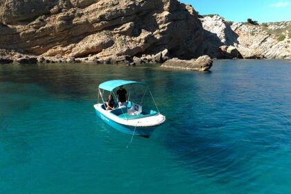 Charter Boat without licence  Marion 500 Classic Port d'Addaia