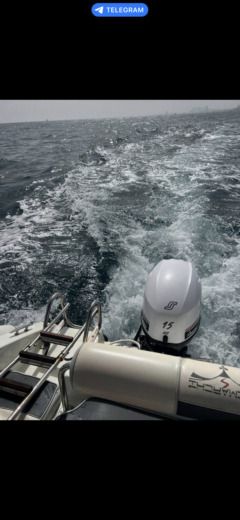 Barcelona Without license Trimachi 53 (No License) alt tag text