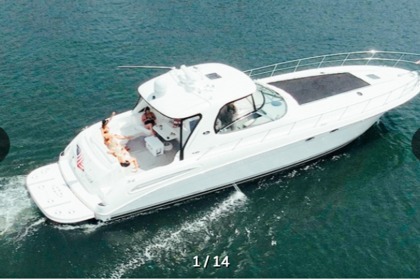 Rental Motorboat Sea Ray 550 Sundancer Fort Lauderdale