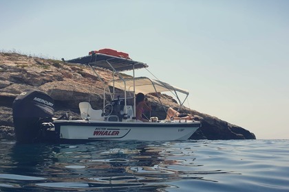 Rental Motorboat Boston Whaler Montauk Malta