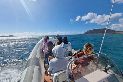 Rental RIB Bsc 750 Fuerteventura