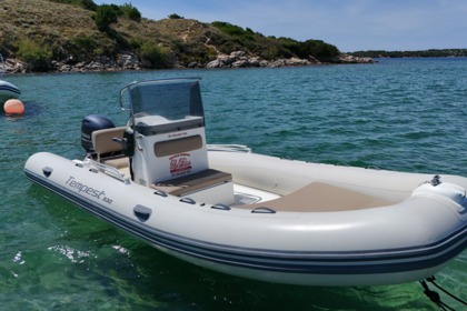 Charter RIB Capelli Capelli Tempest 530 Palau