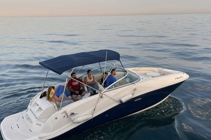 Alquiler Lancha Sea Ray 260 SD Marbella