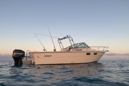 Rental Motorboat Pursuit 2500 Kemp's Bay Settlement