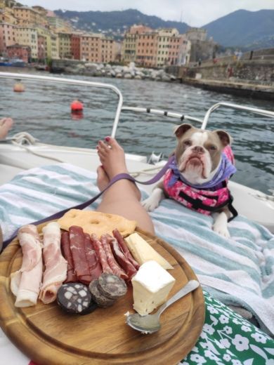 Rapallo Without license Selva Marine 5.7 ELEGANCE alt tag text