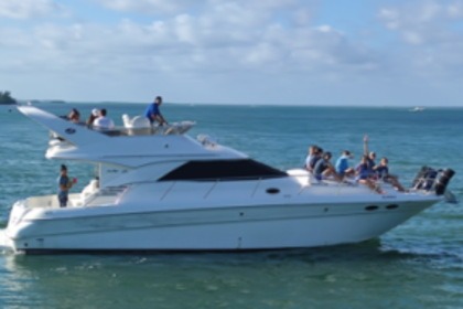 Rental Motorboat Sea Ray 41 Fly Cancún