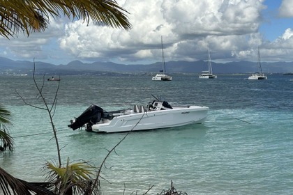 Charter Motorboat Axopar Spyder 22 Pointe-a-Pitre