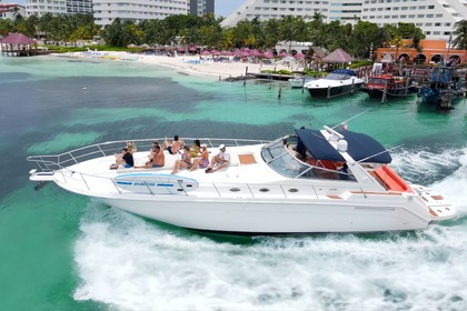 Hire Motor yacht Sea Ray SUNDANCER Cancún
