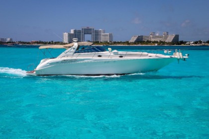 Rental Motorboat Sea Ray sundancer Cancún