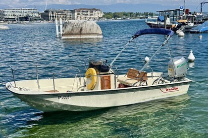 Location Bateau à moteur Boston Whaler Montauk 17 Genthod