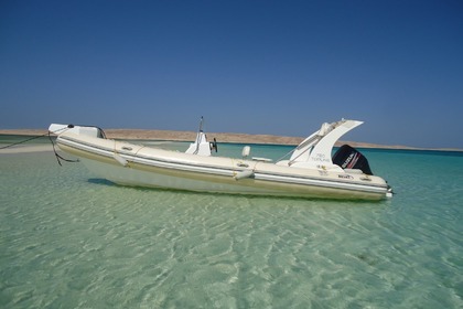Miete RIB Bullet Speedboats Custom Hurghada
