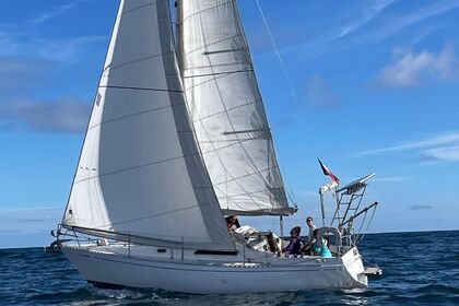 Charter Sailboat Sea Master Seamaster 925 Santa-Maria-Poggio