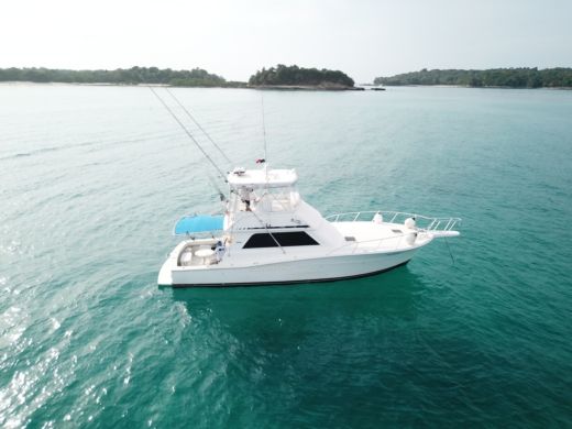 Motorboat Viking 46 Plano del barco